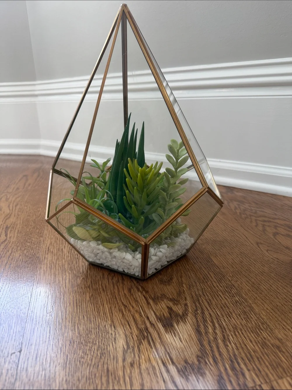 Gold Glass Geometric Terrarium with Green Succulent Arrangement